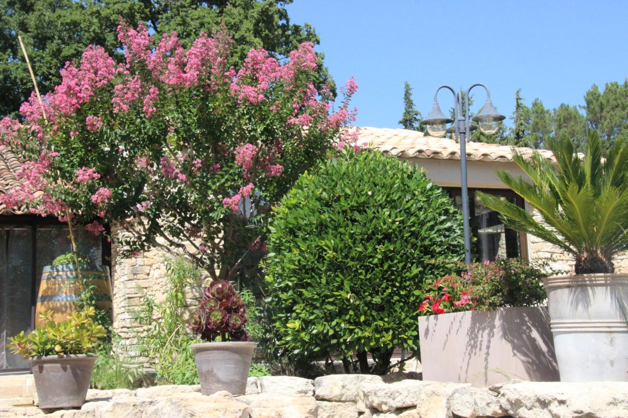 Fleur De Lavande Gordes Esterno foto