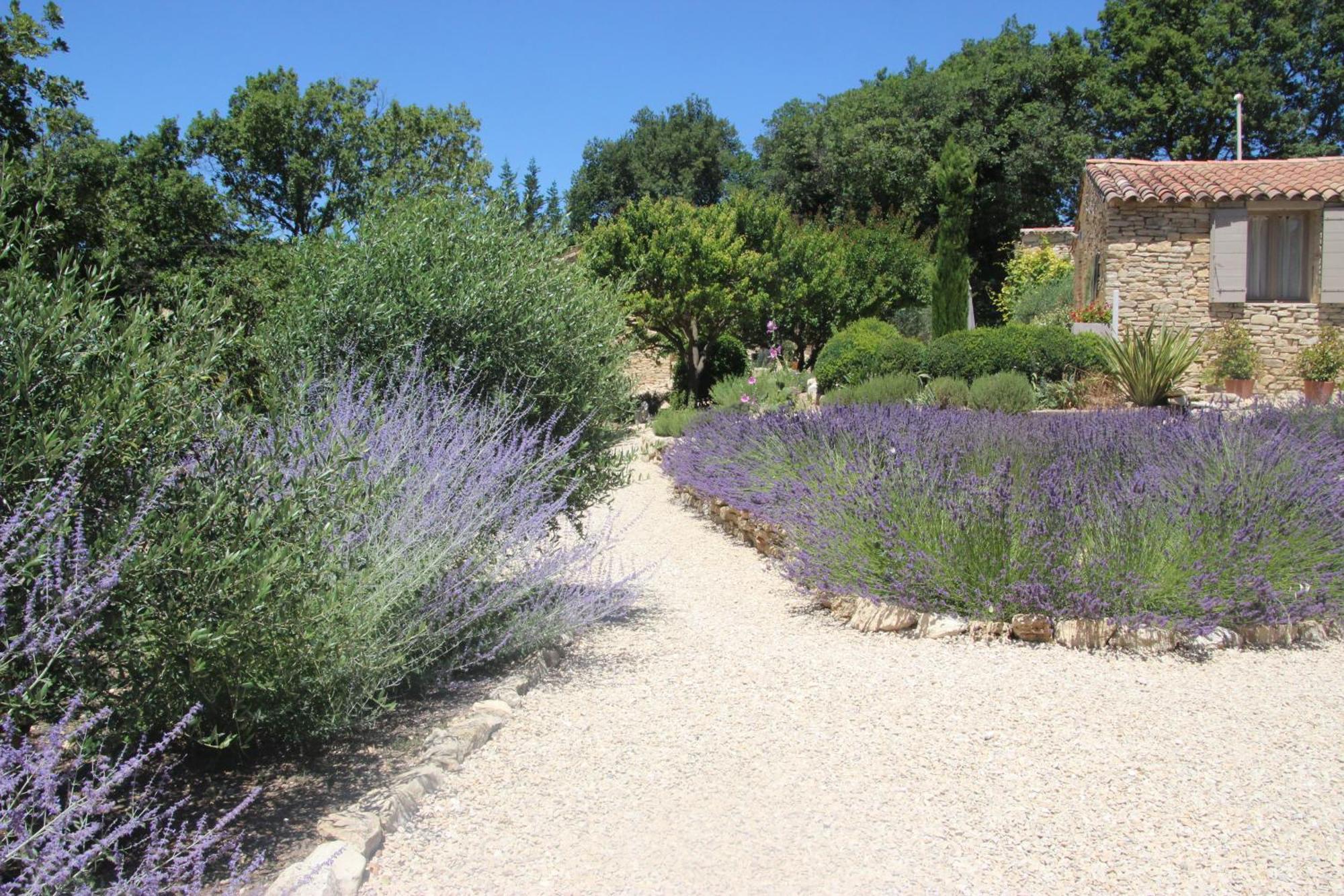 Fleur De Lavande Gordes Esterno foto
